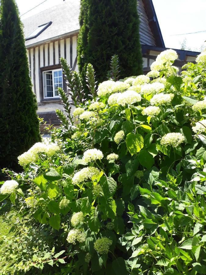 Gite 'Les Matins Calmes ' Cheffreville-Tonnencourt Kültér fotó